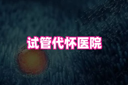 swisee孕网 1