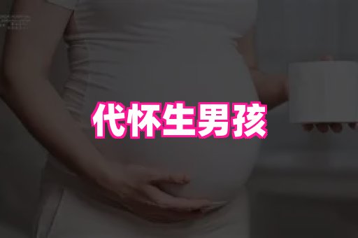 swisee孕网 4